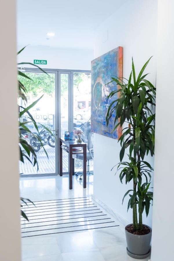 Apartment Jardines De Meca